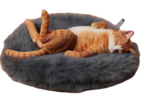 HiPlay JXK Collectible Cat Figure: Lethargic Cat 5.0, Expertly Hand-Painted, Lifelike, Safe Resin, 1:6 Scale Miniature Animal Figurine JXK152A von HiPlay