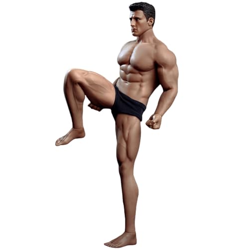 HiPlay TBLeague 1/6 Nahtloser Muskel-Männerkörper Sonnenbräune mit Kopfskulptur TM02A Muskelversion Actionfigur Körper HiPlay TBLeague 1/6 Nahtloser Muskel-Männerkörper Sonnenbräune mit Kopfskulptur TM02A Muskelversion Actionfigur Körper von HiPlay