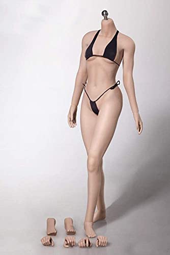 HiPlay TBLeague 1/6 Scale 12 inch Female Super Flexible Seamless Figure Body, Asian Body Type, Medium Bust, Minature Collectible Action Figures (S16A (Pale)) von HiPlay