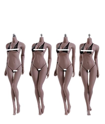 HiPlay TBLeague 1/6 Scale 12 inch Female Super Flexible Seamless Figure Body, Standard Body Type, Minature Collectible Action Figures (Suntan Skin, S12D) von HiPlay