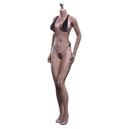 HiPlay TBLeague Female Seamless S25C Asian Type Medium Bust Dark-Skinned Headless Detachable Feet 1/6 Scale Action Figure Body von HiPlay