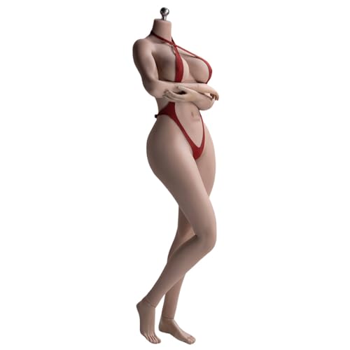 HiPlay TBLeague Nahtloser Europäischer & Proportionierter Weiblicher Körpertyp Sonnengebräunte Haut S53A Große Büste Kopfskulptur Nicht Enthalten Abnehmbare Füße 1/6 Maßstab Actionfigur Körper HiPlay TBLeague Nahtloser Europäischer & Proportionierter Weiblicher Körpertyp Sonnengebräunte Haut S53A Große Büste Kopfskulptur Nicht Enthalten Abnehmbare Füße 1/6 Maßstab Actionfigur Körper von HiPlay
