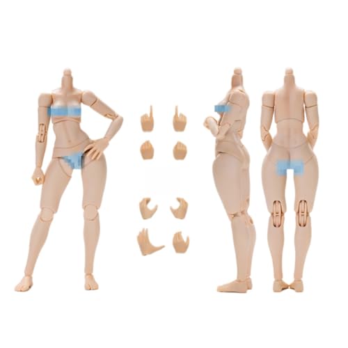 HiPlay TunShi Studio TS-FB-001 Large Bust A-Style 1/12 Scale Female Seamless Action Figure Body HiPlay TunShi Studio TS-FB-001 Large Bust A-Style 1/12 Scale Female Seamless Action Figure Body von HiPlay
