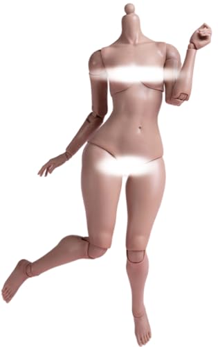 HiPlay WorldBox 1:6 Scale Female Action Figure Body - Plump Body Shape, Fair Skin (AT202 Wheat Skin) von HiPlay