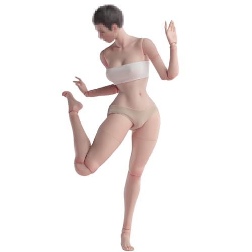 HiPlay Worldbox 1/6 Standardkörper Medium Bust Blasse Haut Gelenkige Bienen-Taille Version AT210A Weibliche Actionfiguren Körper Alter 15+ HiPlay Worldbox 1/6 Standardkörper Medium Bust Blasse Haut Gelenkige Bienen-Taille Version AT210A Weibliche Actionfiguren Körper Alter 15+ von HiPlay