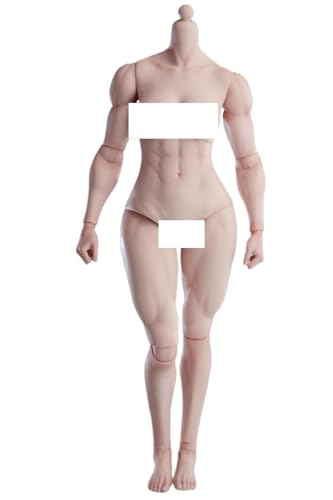 HiPlay Worldbox 1:6 Scale Female Action Figure Body -Muscle Shape, Medium Bust, Fair Skin AT206B von HiPlay