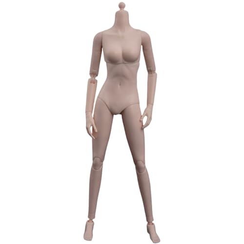 HiPlay ZYTOYS 1/6 Halbnahtloser Schlanker Langbeiniger Frauenkörper Blasse Haut Kleine Büste Actionfigur Körper HiPlay ZYTOYS 1/6 Halbnahtloser Schlanker Langbeiniger Frauenkörper Blasse Haut Kleine Büste Actionfigur Körper von HiPlay