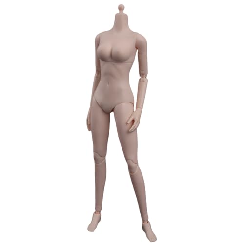 HiPlay ZYTOYS 1/6 Halbnahtloser Schlanker Langbeiniger Frauenkörper Blasse Haut Mittlere Büste Actionfigur Körper HiPlay ZYTOYS 1/6 Halbnahtloser Schlanker Langbeiniger Frauenkörper Blasse Haut Mittlere Büste Actionfigur Körper von HiPlay