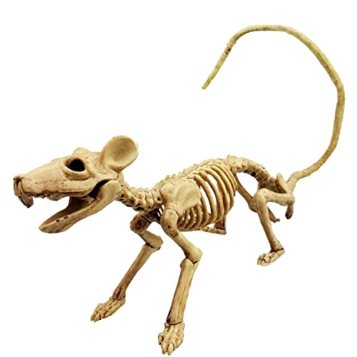 Halloween Skelett, Ratten Skelett für Halloween Dekorationen 9x1.9x2,7 Zoll Skelett Ratte Plastik Skelett Halloween Dekorationen Halloween Requisiten für Spukhaus Requisiten Halloween Skelett, Ratten Skelett für Halloween Dekorationen 9x1.9x2,7 Zoll Skelett Ratte Plastik Skelett Halloween Dekorationen Halloween Requisiten für Spukhaus Requisiten von Hilai
