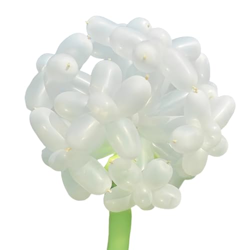 Modellier Luftballons Lang, Hillylolly Lange Luftballons 100 Pcs, Modelling Balloons, Magische, Luftballons Formen Set, Lange Bunte Ballons, für Hochzeit Geburtstage Partys Dekoration (Offen) von Hillylolly