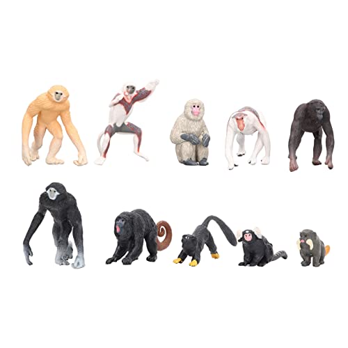Hiraith 10 Stück Primaten-Tiermodelle, Mini-Affen-Gibbon-Orang-Utan, Lebendige Simulation, Stabile Struktur, Gut für Bildungszwecke von Hiraith