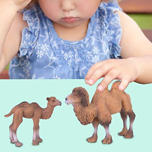 Hiraith 2 Stück Miniatur-Kamel-Figur, Tiermodell, Heimdekoration, für Kinder, Lernspielzeug von Hiraith