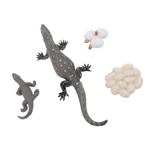 Hiraith 4PCS Eidechse Life Cycle Toy Set, Realistische PVC -Reptilien -Wachstumsphasen, Pädagogische Tierfiguren für, Wissenschaftliches Lernspielzeug, Sichere Biologieunterrichtshilfe Hiraith 4PCS Eidechse Life Cycle Toy Set, Realistische PVC -Reptilien -Wachstumsphasen, Pädagogische Tierfiguren für, Wissenschaftliches Lernspielzeug, Sichere Biologieunterrichtshilfe von Hiraith