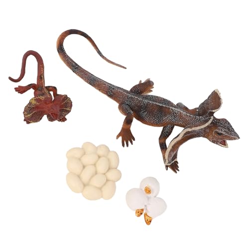 Hiraith Rüschel Echsentiermodell, Lebensechter Wachstumsverzierung für Bildungsspielzeug, Simulation PVC -Figur für Schreibtisch und Bücherregaldekoration von Hiraith
