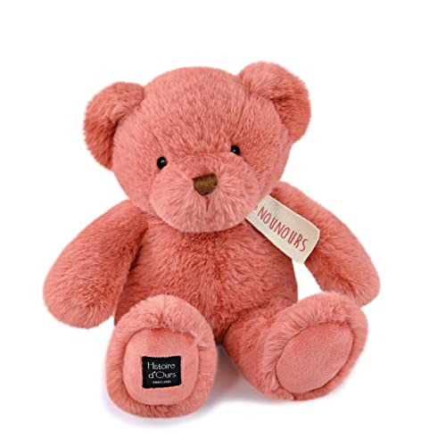 Histoire d'ours - Der Teddybär Rosé Praline 28 cm – Rosa – 28 cm – Geschenk zur Geburt – HO3232 von Histoire d'ours