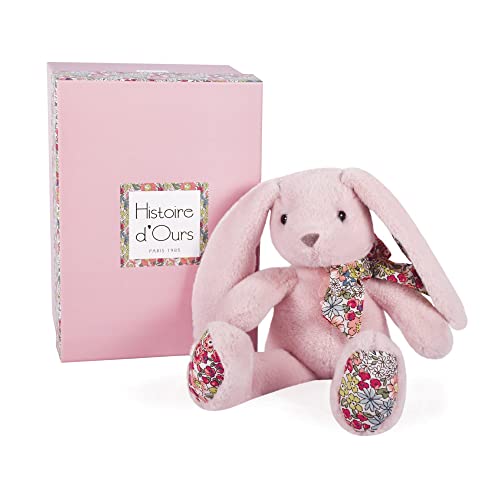 Histoire d'ours - Plüsch-Hase – Kuschelfreunde – Geschenkbox – zartes Rosa – 25 cm – Geschenkidee zur Geburt und zum Geburtstag, für Mädchen und Jungen – HO3121 von Histoire d'ours