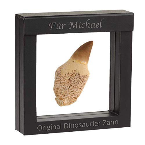 Historia Original Dinosaurier Zahn mit Ihrer individuellen Gravur als persönliches Kinder-Geschenk I 80 Mio. Jahre alt I im Schweberahmen mit Magnetverschluss Historia Original Dinosaurier Zahn mit Ihrer individuellen Gravur als persönliches Kinder-Geschenk I 80 Mio. Jahre alt I im Schweberahmen mit Magnetverschluss von Historia