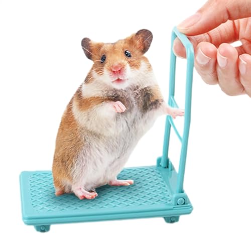 Lustiges Hamsterkäfig-Zubehör, Hamsterwagen-Spielzeug, Kleintierspielzeug, Hamsterspielzeug, Foto-Requisiten, Hamster-Anreicherungsspielzeug, Wagen, Chinchilla-Bett, Haustierspielzeug, einfach Lustiges Hamsterkäfig-Zubehör, Hamsterwagen-Spielzeug, Kleintierspielzeug, Hamsterspielzeug, Foto-Requisiten, Hamster-Anreicherungsspielzeug, Wagen, Chinchilla-Bett, Haustierspielzeug, einfach von Hjatirace