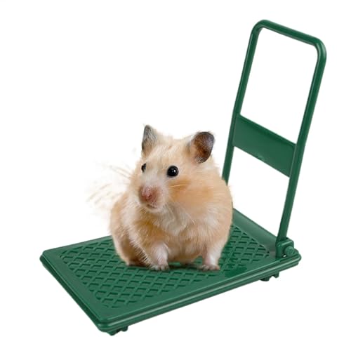 Lustiges Hamsterkäfig-Zubehör, Hamsterwagen-Spielzeug, Kleintierspielzeug, Hamsterspielzeug, Foto-Requisiten, Hamster-Anreicherungsspielzeug, Wagen, Chinchilla-Bett, Haustierspielzeug, einfach Lustiges Hamsterkäfig-Zubehör, Hamsterwagen-Spielzeug, Kleintierspielzeug, Hamsterspielzeug, Foto-Requisiten, Hamster-Anreicherungsspielzeug, Wagen, Chinchilla-Bett, Haustierspielzeug, einfach von Hjatirace