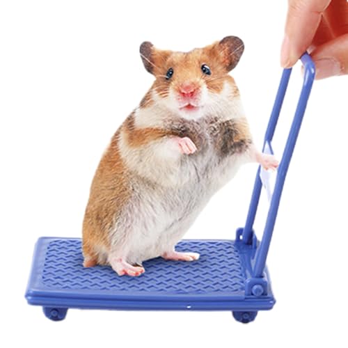 Lustiges Hamsterkäfig-Zubehör, Hamsterwagen-Spielzeug, Kleintierspielzeug, Hamsterspielzeug, Foto-Requisiten, Hamster-Anreicherungsspielzeug, Wagen, Chinchilla-Bett, Haustierspielzeug, einfach Lustiges Hamsterkäfig-Zubehör, Hamsterwagen-Spielzeug, Kleintierspielzeug, Hamsterspielzeug, Foto-Requisiten, Hamster-Anreicherungsspielzeug, Wagen, Chinchilla-Bett, Haustierspielzeug, einfach von Hjatirace