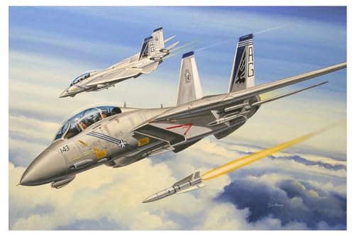 Hobby Boss 80277 Modellbausatz F-14B Tomcat, Mittel von Hobby Boss