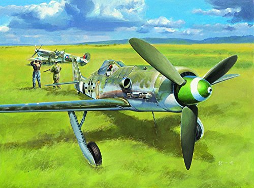 Hobby Boss 081721 1/48 Focke-Wulf FW 190 D13 Modellbausatz, verschieden von Hobby Boss