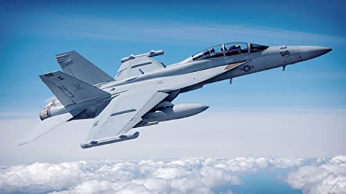 1/48 EA-18G Growler von Hobby Boss