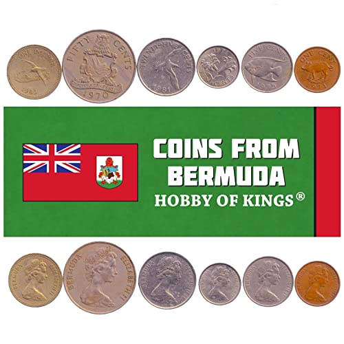 6 Coins from Bermuda | Bermudian Coin Set Collection 1 5 10 25 50 Cents 1 Dollar | Circulated 1970 - 1985 | Bermuda Lily | Wild Boar | Blue Angelfish | White-Tailed Tropicbird | Bermuda Petrel 6 Coins from Bermuda | Bermudian Coin Set Collection 1 5 10 25 50 Cents 1 Dollar | Circulated 1970 - 1985 | Bermuda Lily | Wild Boar | Blue Angelfish | White-Tailed Tropicbird | Bermuda Petrel von Hobby of Kings