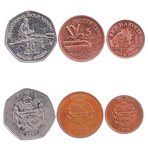 Hobby of Kings 3 Coins from Guyana | Guyanese Coin Set Collection 1 5 10 Dollars | Circulated 1996 - 2019 | Sugar Cane Hobby of Kings 3 Coins from Guyana | Guyanese Coin Set Collection 1 5 10 Dollars | Circulated 1996 - 2019 | Sugar Cane von Hobby of Kings