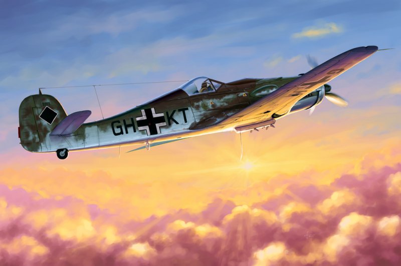 Focke-Wulf Fw 190 D-10 Focke-Wulf Fw 190 D-10 von HobbyBoss