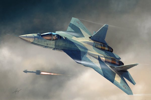 Russian T-50 PAK-FA von HobbyBoss