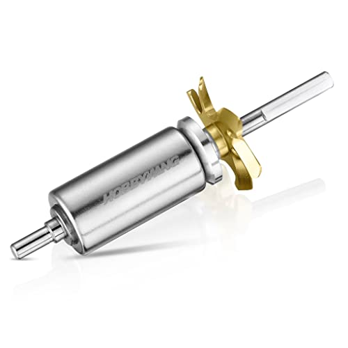 HOBBYWING D10 (Drift) Lager und optionaler Rotor-Ersatz (30820431 D10 (L3-5-12.1 x 24.1-BES)) von HobbyWing