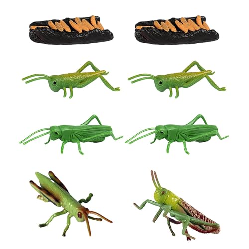 Hobngmuc Lebenszyklusspielzeug für Kinder, Lebenszyklus -Figuren | Tierfiguren 8 Stücke Vorschulkit,Small Animal Match Sets Locust Model für Kinder Mädchen von Hobngmuc
