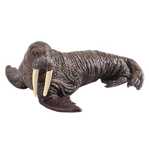 Hogvinnatil Wintertiere Figuren, arktisches Tierspielzeug,Realistische Walrosmodellstatuen | Kognitionsornamente für Wissenschaft und Bildung, Hausversammlungen liefern Dekoration für Kuchen - Hogvinnatil Wintertiere Figuren, arktisches Tierspielzeug,Realistische Walrosmodellstatuen | Kognitionsornamente für Wissenschaft und Bildung, Hausversammlungen liefern Dekoration für Kuchen - von Hogvinnatil