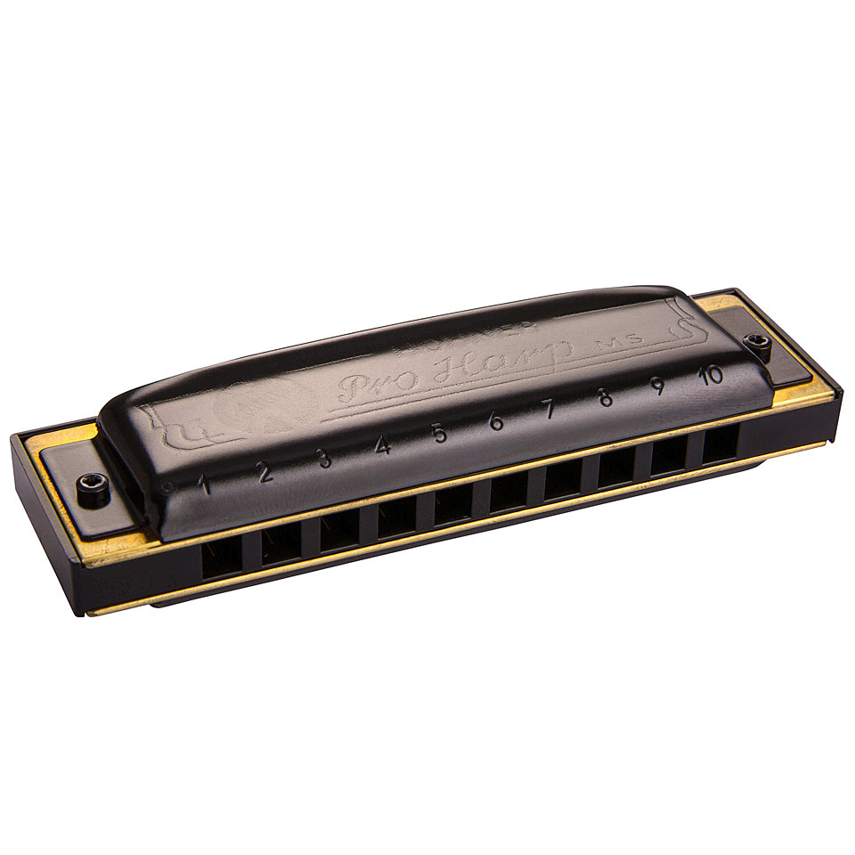 Hohner Pro Harp MS A Richter-Mundharmonika Hohner Pro Harp MS A Richter-Mundharmonika von Hohner