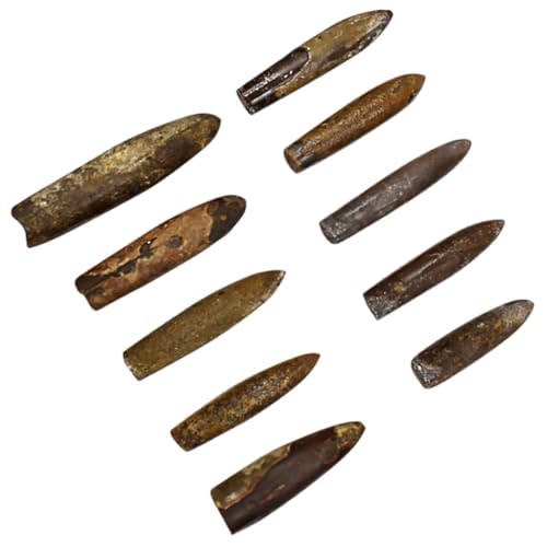 Hohopeti 10 Stück Teiliges Fossilien Naturbelassenes Desktop Ornament Pädagogisches Unterrichtsmaterial Fossilienprobe für Schulklassen und Sammler Hohopeti 10 Stück Teiliges Fossilien Naturbelassenes Desktop Ornament Pädagogisches Unterrichtsmaterial Fossilienprobe für Schulklassen und Sammler von Hohopeti