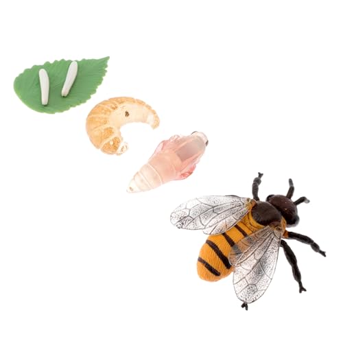 Hohopeti 1Satz Simulationsbienen Wachstumszyklusmodell Lernspielzeug für Teiliges Naturwissenschaften zur Bildung für Partys Hohopeti 1Satz Simulationsbienen Wachstumszyklusmodell Lernspielzeug für Teiliges Naturwissenschaften zur Bildung für Partys von Hohopeti