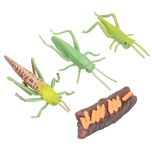 Hohopeti 1Satz Tierlebenszyklus Modelle Teiliges mit Realistischen Tierfiguren für Pädagogisches Insektenwissen Lernspielzeug für Vorschulkinder Hohopeti 1Satz Tierlebenszyklus Modelle Teiliges mit Realistischen Tierfiguren für Pädagogisches Insektenwissen Lernspielzeug für Vorschulkinder von Hohopeti