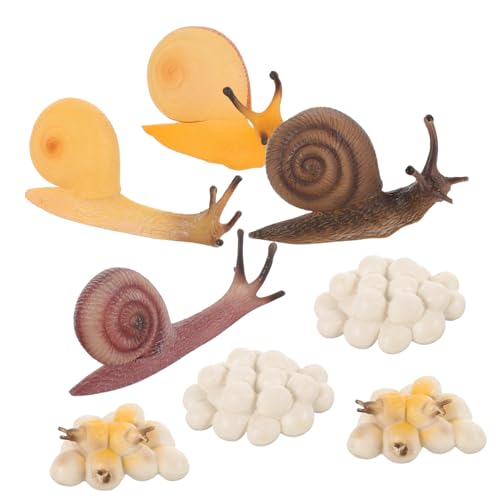 Hohopeti 2 Sätze Snail Growth Cycle Modelle Lebensnahe Schnecken Lernmodelle aus Sicherem Kunststoff Pädagogisches Tierwachstum für Wissenschaftliche Bildung und Naturerfahrung Hohopeti 2 Sätze Snail Growth Cycle Modelle Lebensnahe Schnecken Lernmodelle aus Sicherem Kunststoff Pädagogisches Tierwachstum für Wissenschaftliche Bildung und Naturerfahrung von Hohopeti