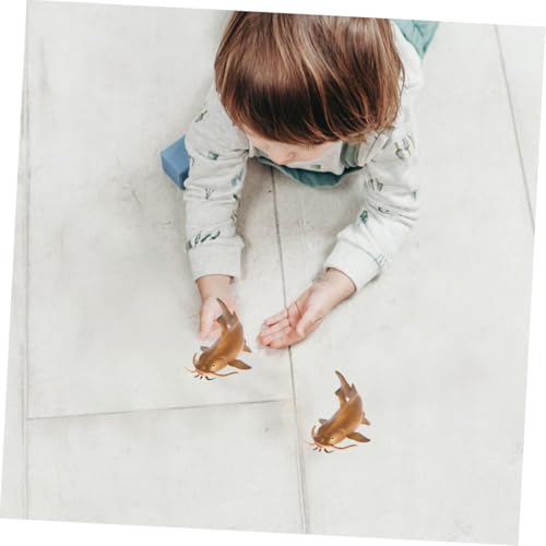 Hohopeti 2 Stück Realistisches Nachbildung Wels Modell Fischspielzeug für Pädagogisch Sicher Runde Kanten Dekoratives Tiermodell für Kinderzimmer und Heimdekoration Hohopeti 2 Stück Realistisches Nachbildung Wels Modell Fischspielzeug für Pädagogisch Sicher Runde Kanten Dekoratives Tiermodell für Kinderzimmer und Heimdekoration von Hohopeti