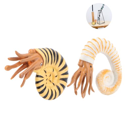 Hohopeti 2 Stück Teiliges Meerestier Modellset Realistische Schnecken Spielzeuge aus Langlebigem Kunststoff Edukatives Kognitionstier für Dekoratives Aquatic Ornament für Schreibtisch und von Hohopeti
