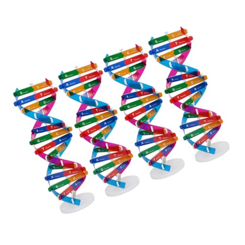 Hohopeti 4 Stück Teiliges DNA Doppelhelix Modellset Detailgetreues Biologisches Strukturmodell Robustes Lernspielzeug für Schüler Präzise Gene Darstellung für Unterricht und Hohopeti 4 Stück Teiliges DNA Doppelhelix Modellset Detailgetreues Biologisches Strukturmodell Robustes Lernspielzeug für Schüler Präzise Gene Darstellung für Unterricht und von Hohopeti