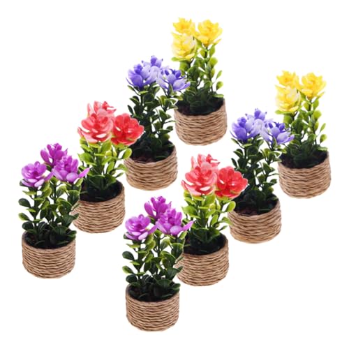 Hohopeti 8 Stück – Gartendekor Ornamente Geschenk Hausdekoration Blumentopf Grünpflanzen Miniaturlandschaft Feentopf DIY Ornament Zubehör Puppenhaus Blume Für Kleine Modelle Hohopeti 8 Stück – Gartendekor Ornamente Geschenk Hausdekoration Blumentopf Grünpflanzen Miniaturlandschaft Feentopf DIY Ornament Zubehör Puppenhaus Blume Für Kleine Modelle von Hohopeti