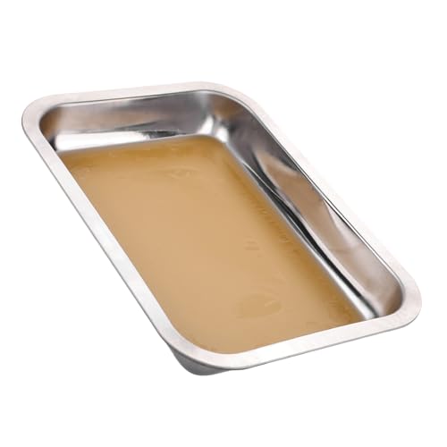 Hohopeti Anatomie-Tablett Dissektionsplatte Student Laborwerkzeug Labortablett für Dissektion Labortablett mit Wachs medizinisches Tablett Tabletts aus Edelstahl Rostfreier Stahl Silver Hohopeti Anatomie-Tablett Dissektionsplatte Student Laborwerkzeug Labortablett für Dissektion Labortablett mit Wachs medizinisches Tablett Tabletts aus Edelstahl Rostfreier Stahl Silver von Hohopeti