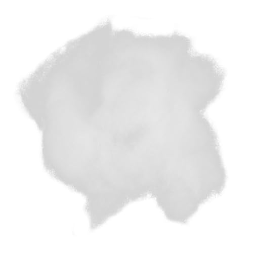 Hohopeti Beutel Hochelastische Füllwatte Weiches Polyesterfasermaterial für Kissen Plüschtiere und DIY Bastelprojekte Formstabil Leicht und Vielseitig Einsetzbar Hohopeti Beutel Hochelastische Füllwatte Weiches Polyesterfasermaterial für Kissen Plüschtiere und DIY Bastelprojekte Formstabil Leicht und Vielseitig Einsetzbar von Hohopeti