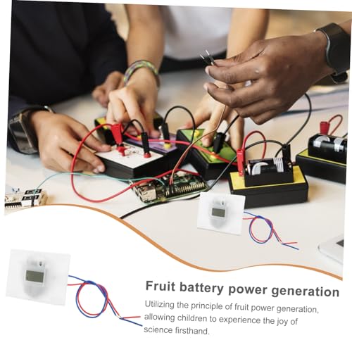 Hohopeti DIY Fruchtbatterie Experimentierkasten für Schüler Leicht Montierbares Batterie Kit zur Stromerzeugung aus Früchten Pädagogisches Wissenschaftsspielzeug für Praktisches Lernen und von Hohopeti