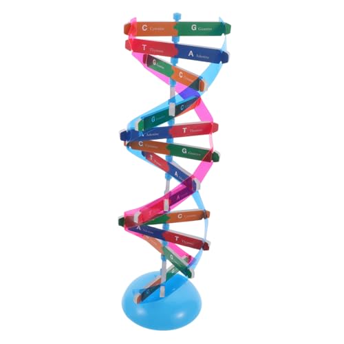 Hohopeti DNA modellbausatz Selbstmontage Doppelhelix Struktur Lernspielzeug Wissenschaftliches Lehrmittel für Schüler und Unterricht Pädagogisches Experimentiergerät für und Biologie Hohopeti DNA modellbausatz Selbstmontage Doppelhelix Struktur Lernspielzeug Wissenschaftliches Lehrmittel für Schüler und Unterricht Pädagogisches Experimentiergerät für und Biologie von Hohopeti