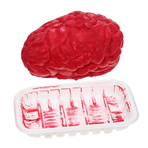 Hohopeti Halloween Deko Körperorgan Prop Gehirn Herz Realistisch Kunststoff Robust für Horror Party Gruselige Halloween Dekoration und Partyzubehör Hohopeti Halloween Deko Körperorgan Prop Gehirn Herz Realistisch Kunststoff Robust für Horror Party Gruselige Halloween Dekoration und Partyzubehör von Hohopeti