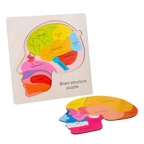 Hohopeti Holz Gehirn Struktur Puzzle Pädagogisches Lernspielzeug für Mehrschichtiges Holzpuzzle zur Kognitiven Montessori Gehirn für Kleinkinder Teilig Hohopeti Holz Gehirn Struktur Puzzle Pädagogisches Lernspielzeug für Mehrschichtiges Holzpuzzle zur Kognitiven Montessori Gehirn für Kleinkinder Teilig von Hohopeti