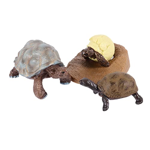 Hohopeti Lebenszyklus Schildkröten Figurenset Teilig Kunststoff Lernspielzeug Tierwachstum Kognitives Kinderspielzeug Ab Jahren Pädagogisches Modell von Hohopeti